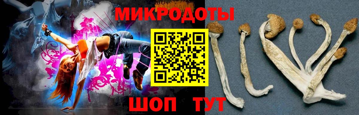 ГАШ  Рузаевка  ГАШ  Кокаин  МЕТАМФЕТАМИН  Меф кристаллы  Вход с VPN  А ПВП СОЛЬ   МАРИХУАНА 